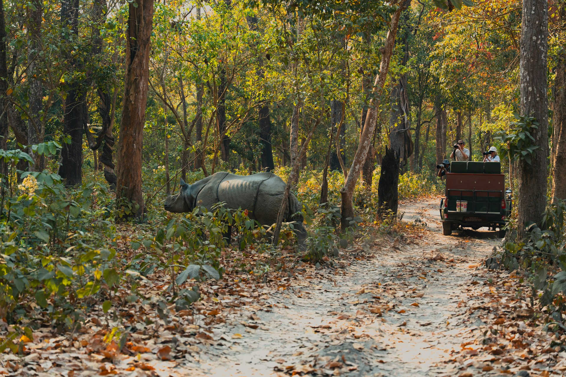 Royal Chitwan National Park Tours - Jeep Safari